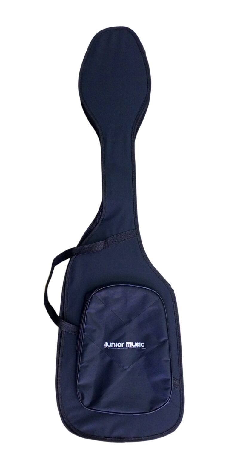 ESTUCHE SEMIDURO DOBLE CABEZA PARA BAJO