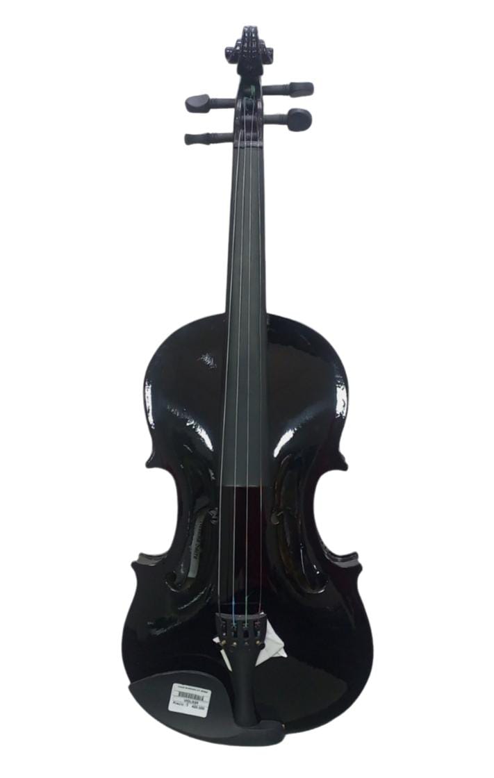 VIOLÍN GUARNERI GV300 4/4